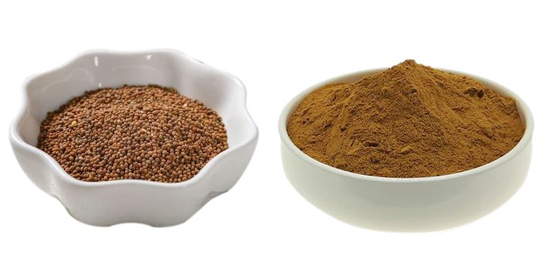Cuscuta Seed Extract Powder display