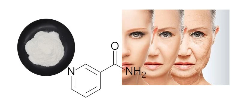 Nicotinamide powder raw material display Nicotinamide powder raw material display