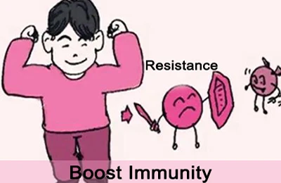 achyranthes bidentata extract powder enhances resistance